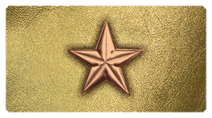 DSC700 430 BZ GD Star Bronze Gold